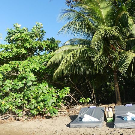The Tranquilo Lodge, Adult Only, All Meals Included Drake Bay ภายนอก รูปภาพ