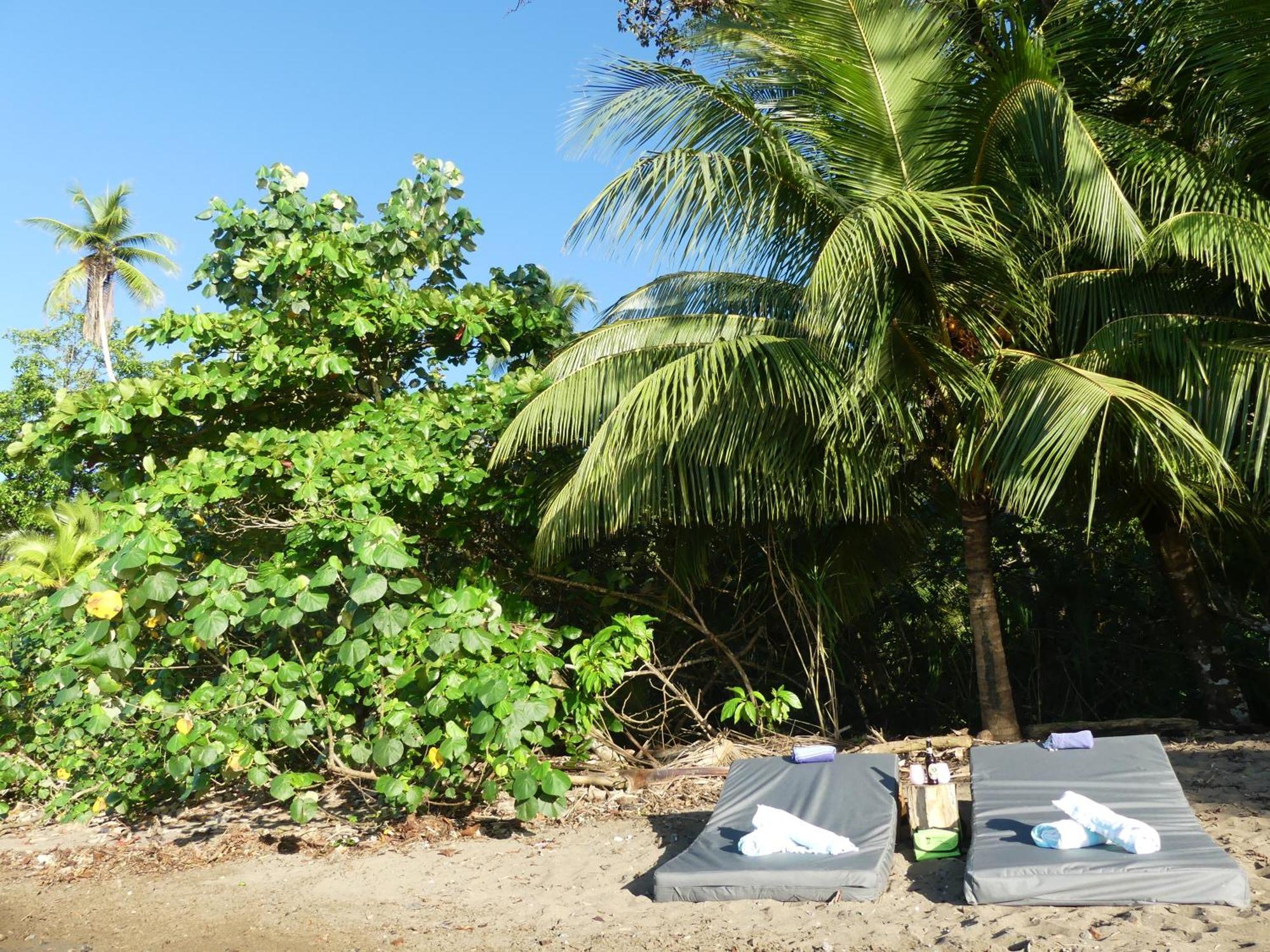 The Tranquilo Lodge, Adult Only, All Meals Included Drake Bay ภายนอก รูปภาพ